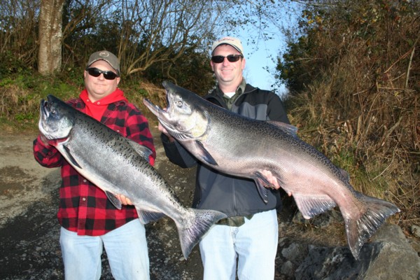 Smith River California late fall kings.