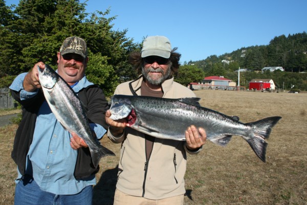 Rogue Bay fall salmon.