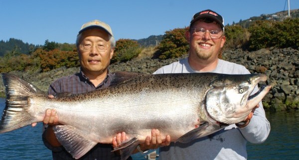 47 pound king salmon from the Chetco River near Brookings, Ore., caught trolling whole herring with Wild Rivers Fishing guide Andy Martin.