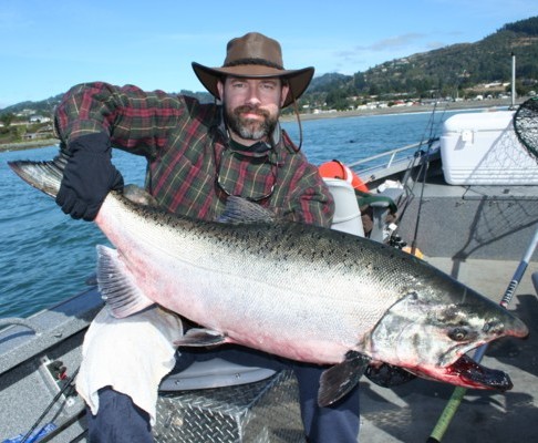 50 pound Chetco River king salmon.