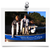 Steelhead Photo Gallery, winter steelhead from Chetco, Smith, Elk and Sixes rivers.