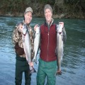 Elk River hatchery kings, 2011.