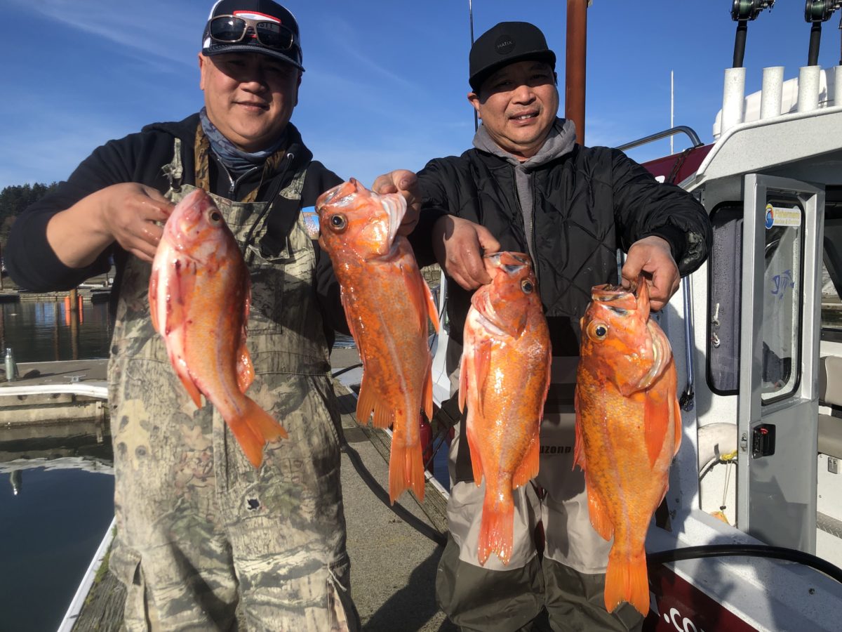 Steelhead season begins on Chetco, Smith