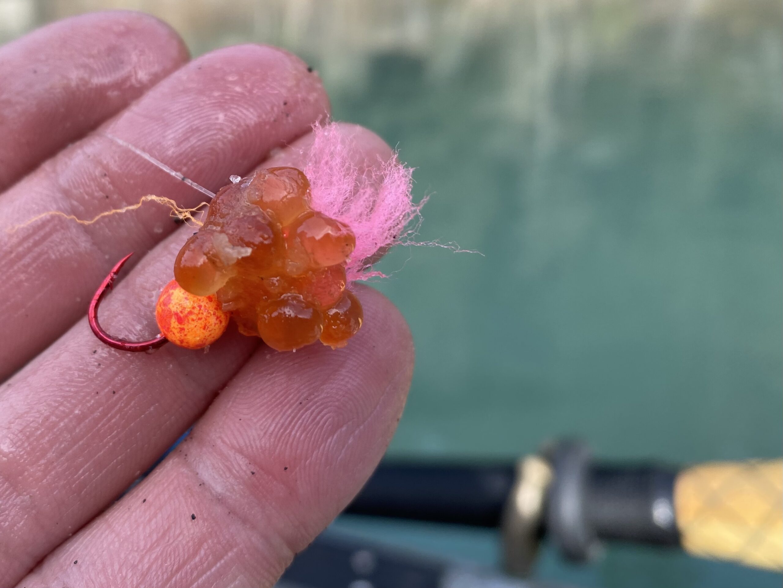 How to make Steelhead Candy - Wild Rivers Fishing