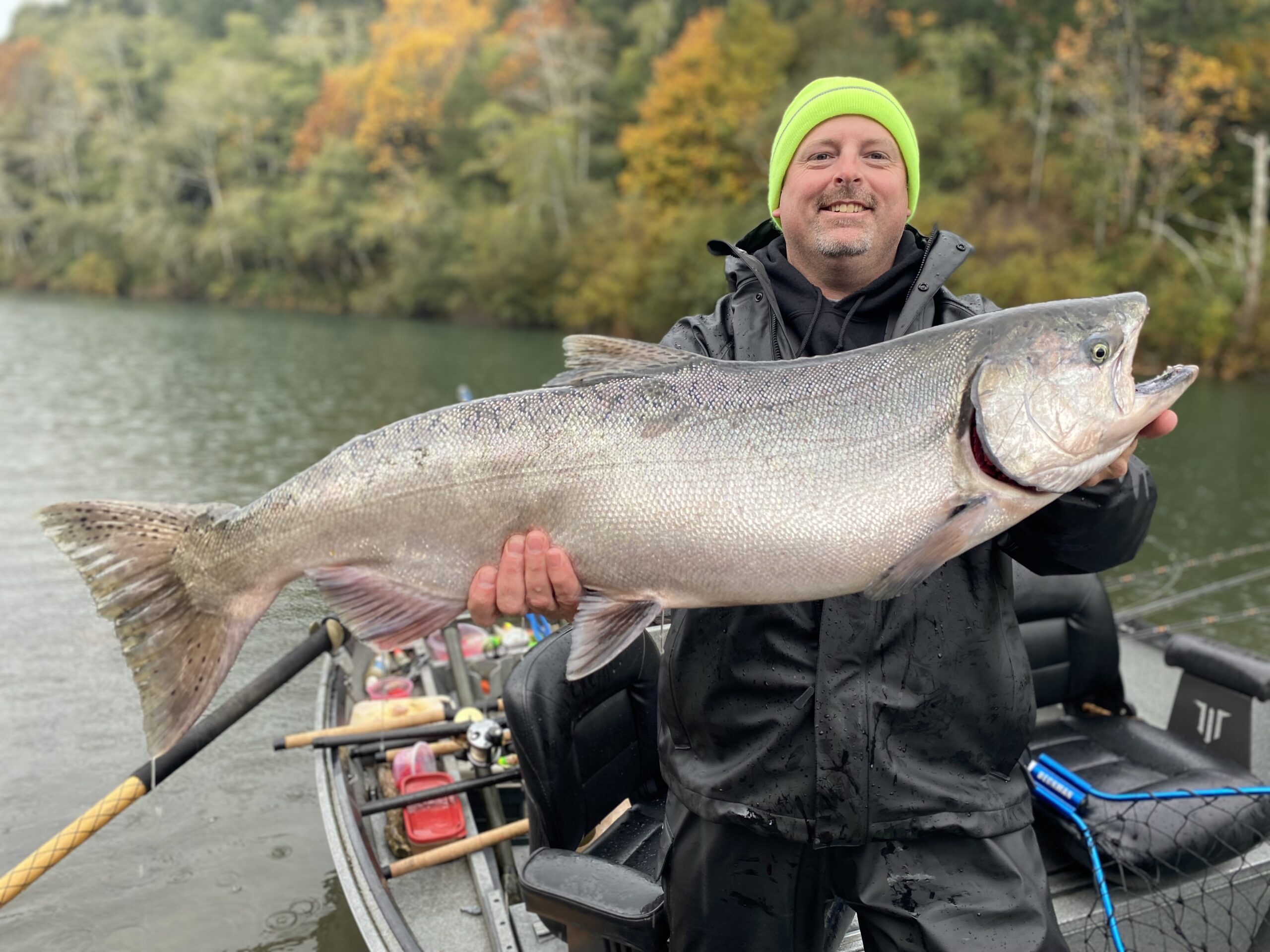 Steelhead season begins on Chetco, Smith rivers - Wild Rivers Fishing